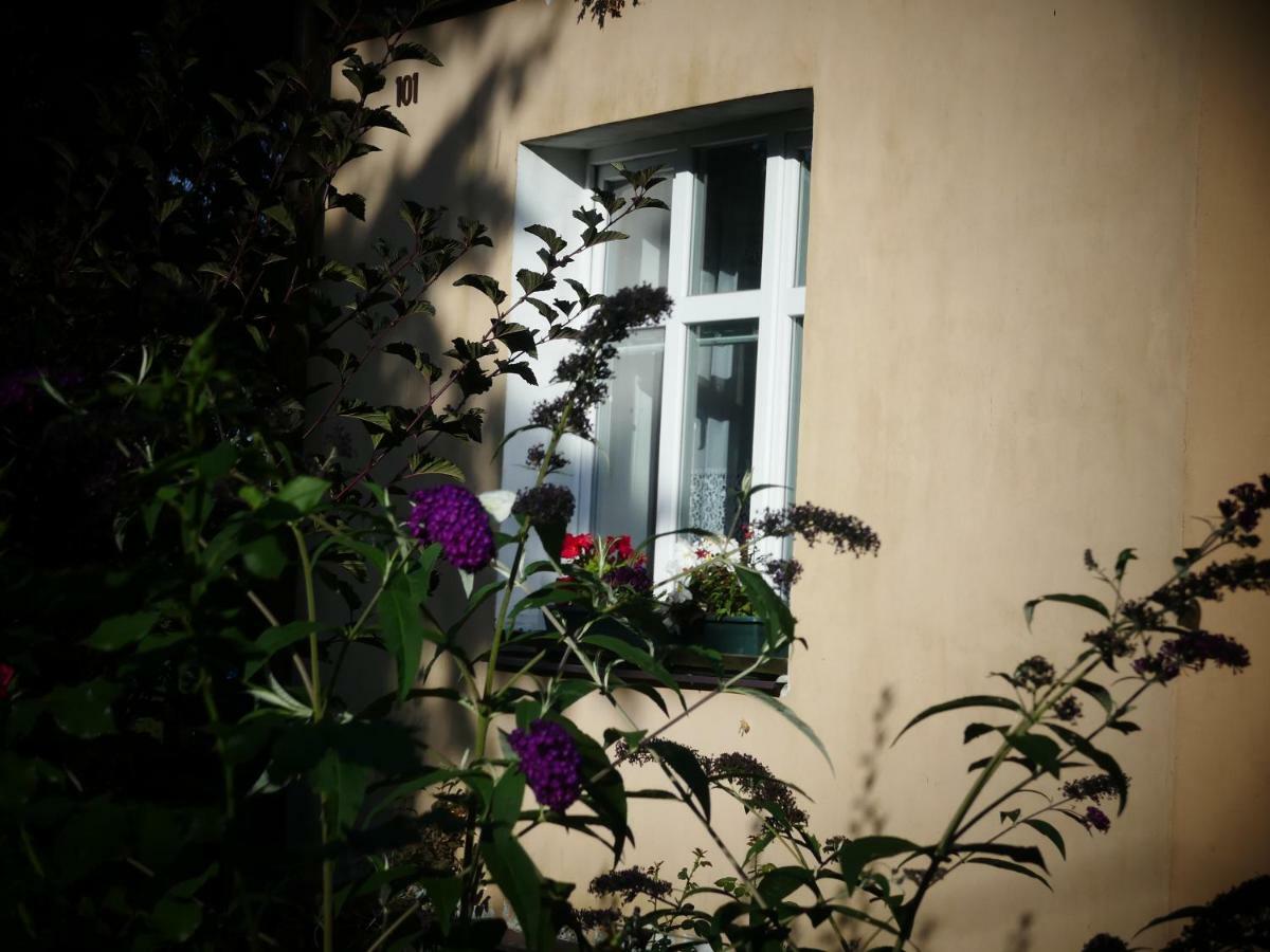 Venkovske Apartmany Tiche Pastviny Kamenicky Senov 外观 照片