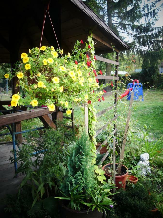 Venkovske Apartmany Tiche Pastviny Kamenicky Senov 外观 照片